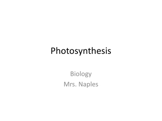 Photosynthesis