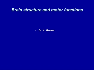 Brain structure and motor functions