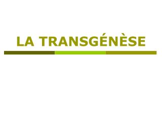 LA TRANSG É N È SE