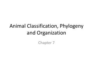 Animal Classification, Phylogeny and Organization