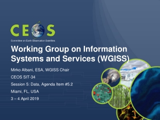 Working Group on Information Systems and Services (WGISS)