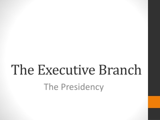 The Executive Branch