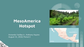 MesoAmerica Hotspot