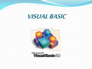 VISUAL BASIC