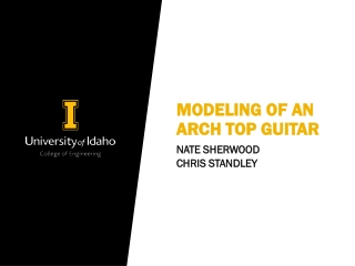 Modeling of an ARCh TOP Guitar