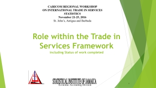 Role within the Trade in Services Framework including Status of work completed