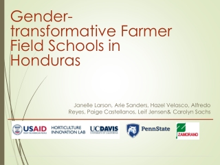 Gender-transformative Farmer Field Schools in Honduras