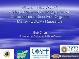 Bob Chen School for the Environment, UMassBoston