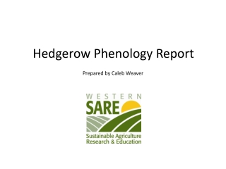 Hedgerow Phenology Report