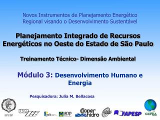 Novos Instrumentos de Planejamento Energético Regional visando o Desenvolvimento Sustentável