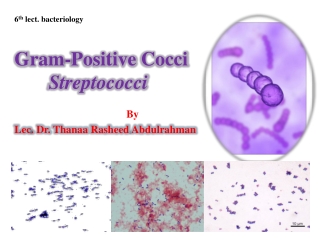 Gram-Positive Cocci Streptococci