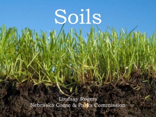 Soils