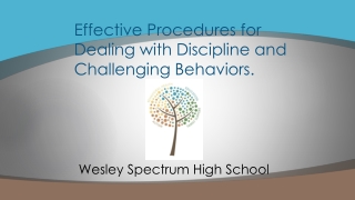 Effective Procedures for Dealing with Discipline and Challenging Behaviors.