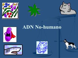 ADN No-humano