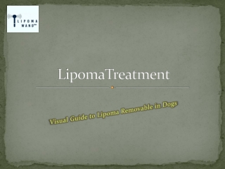 Lipoma in Dogs – Symptoms and Treatment