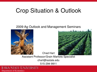 Crop Situation &amp; Outlook