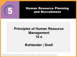 Human Resource Planning and Recruitment