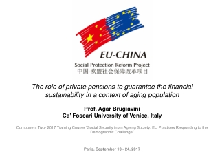 Ageing : a sustainability challenge Patterns of Ageing in Europe