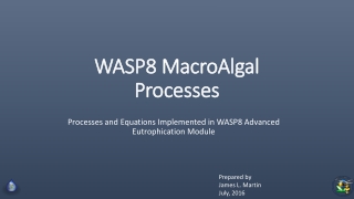 WASP8 MacroAlgal Processes