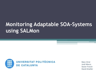 Monitoring Adaptable SOA-Systems using SALMon