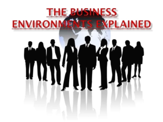 The Business Environments explained