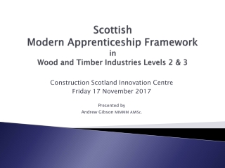 Scottish Modern Apprenticeship Framework in Wood and Timber Industries Levels 2 &amp; 3