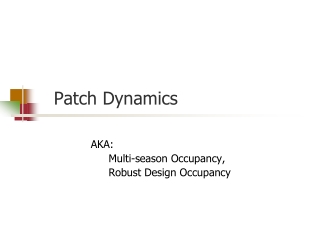 Patch Dynamics