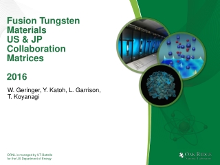 Fusion Tungsten Materials US &amp; JP Collaboration Matrices 2016