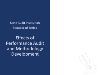 Effects of Performance Audit and Methodology Development