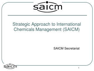 Strategic Approach to International Chemicals Management (SAICM)