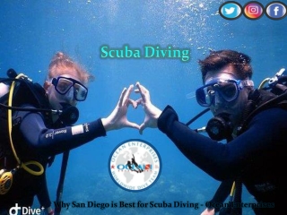 Why San Diego is Best for Scuba Diving - Ocean Enterprises