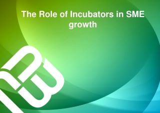 The Role of Incubators in SME growth