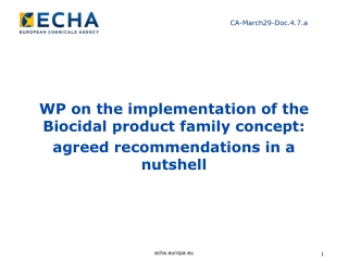 WP on the implementation of the Biocidal product family concept :