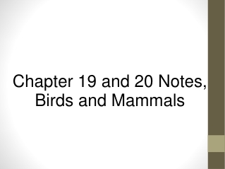 Chapter 19 and 20 Notes, Birds and Mammals