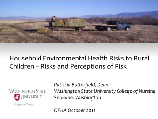 Household Environmental Health Risks to Rural Children – Risks and Perceptions of Risk