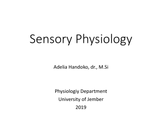 Sensory Physiology