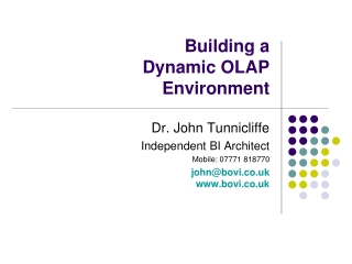 Building a Dynamic OLAP Environment