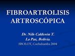 FIBROARTROLISIS ARTROSC PICA