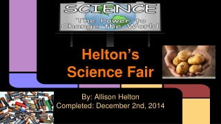 Helton’s Science Fair