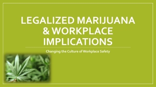 Legalized Marijuana &amp; Workplace implications