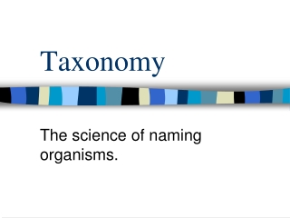 Taxonomy