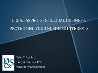 Legal Aspects of Global Business: Protecting your business interests