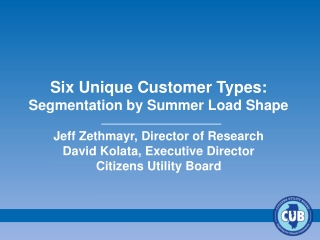 Six Unique Customer Types: Segmentation by Summer Load Shape