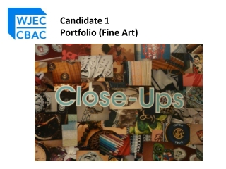Candidate 1 Portfolio (Fine Art)