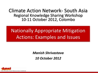 Nationally Appropriate Mitigation Actions: Examples and Issues