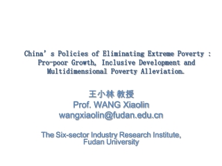 王小林 教授 Prof. WANG Xiaolin wangxiaolin@fudan