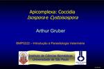 Apicomplexa: Coccidia Isospora e Cystoisospora