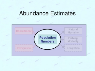 Abundance Estimates