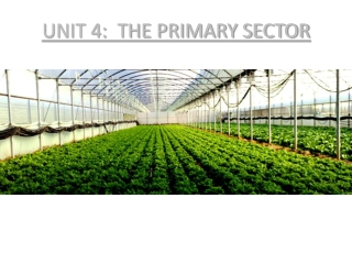 UNIT 4: THE PRIMARY SECTOR