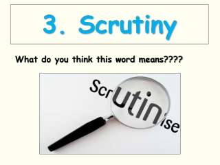 3. Scrutiny